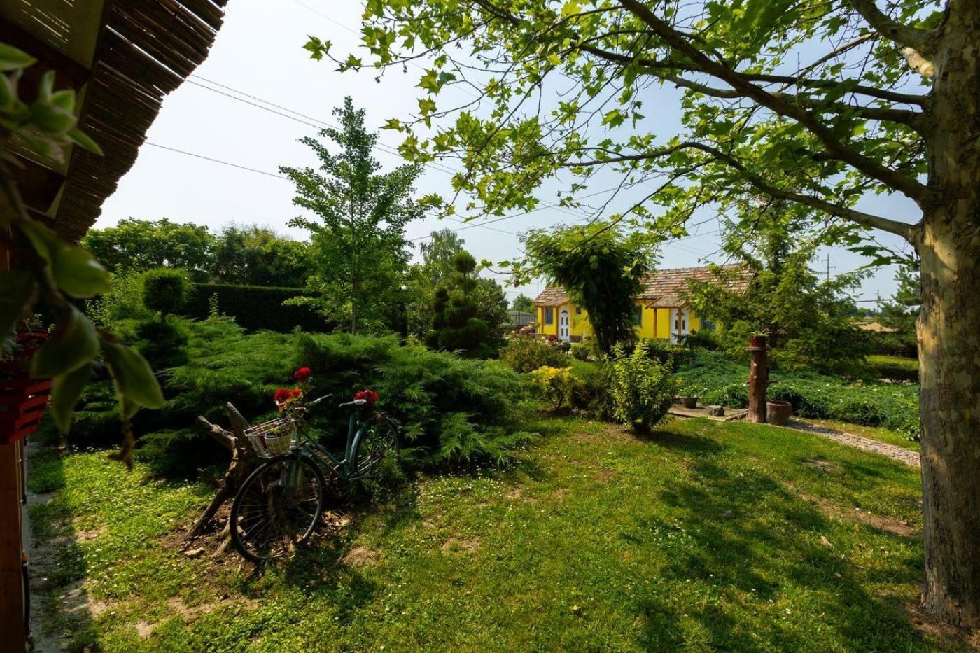 Salas Vujic Bečej Exterior foto