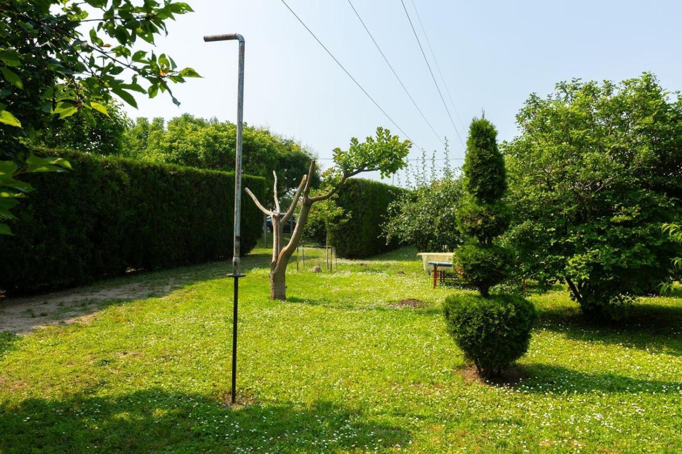 Salas Vujic Bečej Exterior foto
